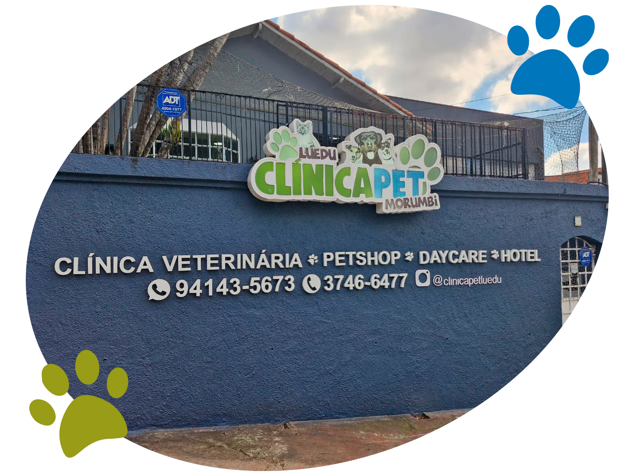 Clínica Pet Morumbi – Clínica Veterinária, Banho e Tosa, Day Care ...