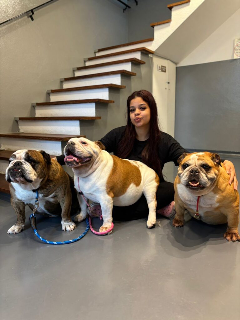 Equipe da Clínica Pet Morumbi