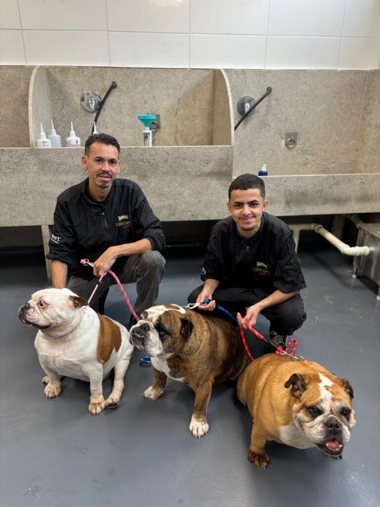 Equipe da Clínica Pet Morumbi